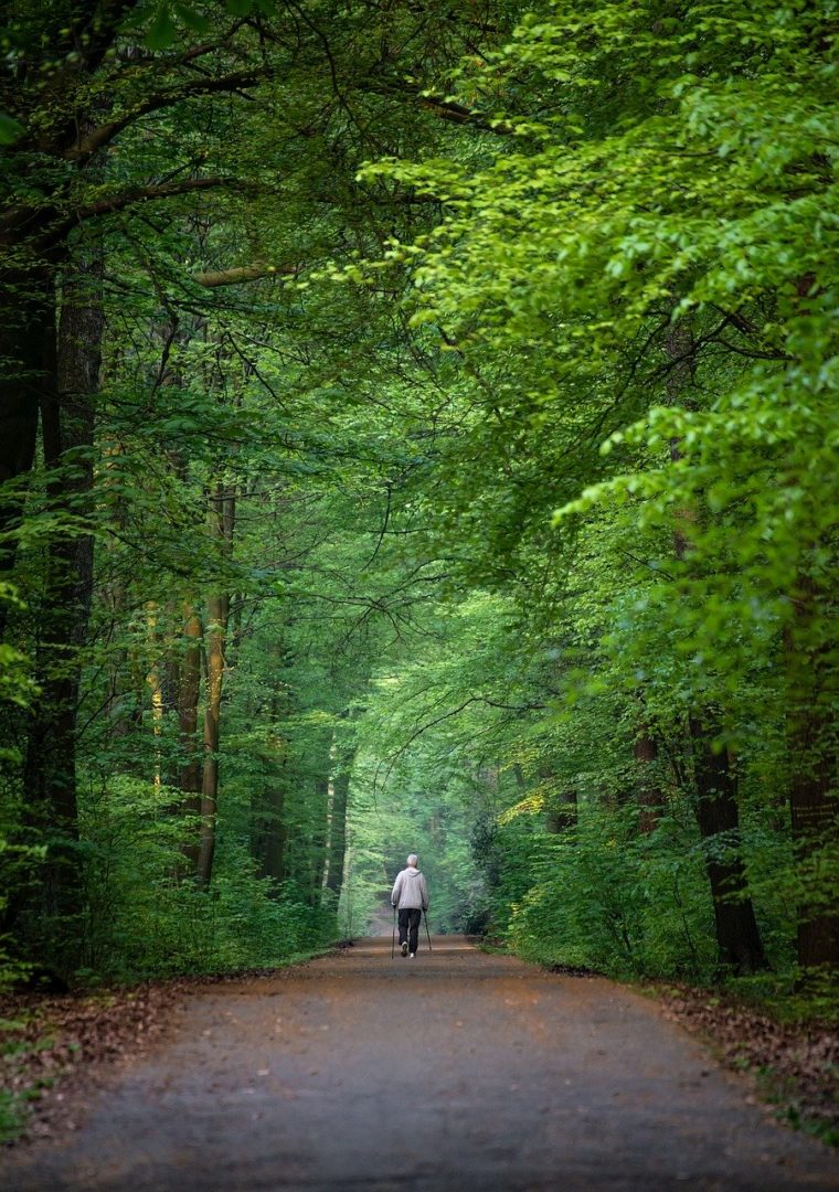 nordic walking, sport, movement